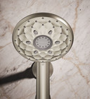 Kohler Rosewood Handheld Showerhead With Hose   Mount Brushed Nickel - New
