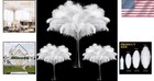 90 Pcs Large Natural Ostrich Feathers Bulk - White