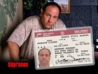 Tony Soprano   Paulie Walnuts Id Cards - Sopranos Nj Drivers License Props