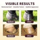Ulroyda Hoof Oil Spray For Horse     Deep Hydration   Frog Care   Light Yellow