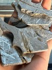 281 3grams Aletai Iron Meteorite Slice