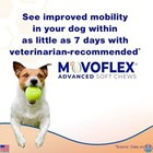 Soft Chews Hip   Joint Support Supplement For Medium Dogs  120 Count