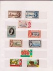 Collection Of Bahamas Stamps In Small Stock Book - 50 Stamps All Mnh