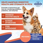 Probiotics   Prebiotics With Enzymes For Dogs And Cats   Digestive Gut Flora