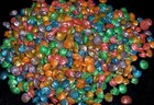 1 2 Pound Of Dyed Umbonium Sea Shells Beach Decor Nautical Craft Tropical