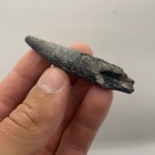 Fossil Cetacean Tooth Venice Florida Dolphin Or Whale Species Unknown 