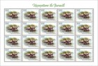Hippopotamus Of Burundi Mnh Stamps 2026 Burundi 5 Sheets Collection