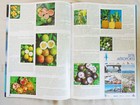 Air Tahiti Publication -   29 - 2001 With Special Articles On Fruits