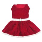 Dog Dress Holiday Red Velvet Fur Trim Matching Leash New Sizes Xs  S  L
