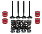 Polaris Predator 500 Kibblewhite Intake   Exhaust Valves Seals Titanium Springs