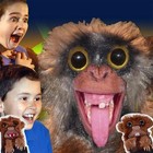 Prank Monkey Toy surprise Prank Monkey Toy pet Pranksters pop Up Monkey Prank Jq
