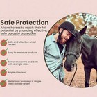 2 Pack Paste Horse Dewormer Apple Flavor Safe Effective Wormer New Free Shipping