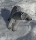 Polar Bear Statue  With A Carved Wooden Worn Look  About 16x9x5  