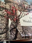 Disneyland World Of Flowers Book
