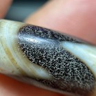 Ancient Tibetan Dzi Beads Old Agate Tiger Teeth Totem Amulet Pendant 21mm  2797