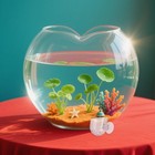 8 Pcs Hanging Planter Flower Acrylic Vase Wall Decor Aquarium Fish Food Feeder