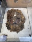 Torres Strait Snapping Turtle Sea Snails And Feathers Funerary Mask 19th Century