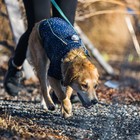 Ruffwear Climate Changer Fleece Dog Jacket
