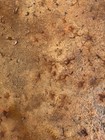 Parisian Travertine Slate   6 Pc  Seamless Skin Concrete Stamp Set By Walttools