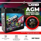 Ds18 Inf-18ah Infinite 18 Ah 750 Watts Agm Power Cell 12 Volt Battery