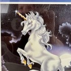 Vintage 1992 Unicorn Art Prints Mare Foal Stallion Mystical Fantasy Set Of 2