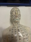 Vtg Acupuncture Acupressure Male Model Doll Chinese Notation