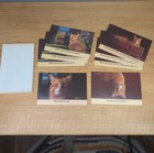 8 Morris The Cat Vtg 1984 9 Lives Note Cards Advertising Orange Tabby 4 x6 