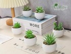 Set Of 6 Succulents Plants Artificial In Pots Small Fake Plants For Bedroom