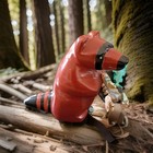 Fitz Kiyite -large Racoon W seafood-zuni Fetish-native American - Stone Carving