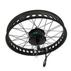 Smart Brushless Hub Motor Snow Fat Tyre Electric E Bike Kit 250w 20   24   26  