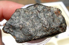 14 6 Grams Dar El Kahal End Cut Chondrite  h5-6  Meteorite From Libya Africa Coa
