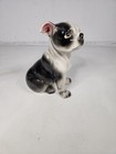 Vtg Cdgc Japan 8  Boston Terrier Ceramic Bank Figurine Hot Springs National Park