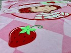 Vintage Y2k Strawberry Shortcake Fleece Throw Blanket Pink Kids Baby 44x62