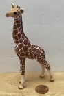 Schleich Animal Lot Of 8 Cat Bunny Pig Giraffe Bear And Tiger Cubs Dinosaurs Vgc