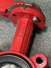 Bray Controls 3  Butterfly Valve Series 31 Lug W  Handle