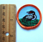 Girl Scout Junior Bird Badge Alaska Council Own Watching Ornithology Patch