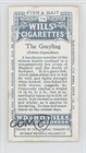 1910 Wills Cigarettes Fish   Bait Tobacco The Grayling  14 0pl9