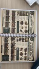 The Lost Skills Of Independence - Hardcover  Spiral Bound  Colored Illustrations