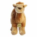 Aurora - Medium Brown Miyoni - 11  Dromedary Camel - Adorable Stuffed Animal