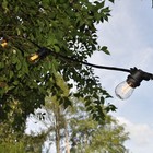 S14 Lantern Edison E26 Commercial Outdoor Patio String Lights