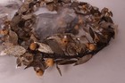 Set 4 Pottery Barn Rustic Leaf Wreath Charger  Christmas  2 Sets Available 
