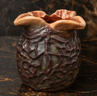Alien Xenomorph Ovomorph Egg1 1lifesize Replica Iconic Horror Prop For Collector