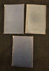 Lot Of 3 Antique Sir Walter Scott Novels Blue Leather Nelson   Sons 1906 1907