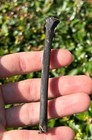 Nice Florida Fossil Bird Bone Avian 4    Rare Pleistocene Age