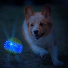Nerf Dog Led Light Up Dental Spikes Squeak Ball Dog Toy  2 7 Inches