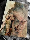 Xl Mind Blowing Birdseye Maple Burl Wood Slab  Craft Wood Turning Wood Burl Wood