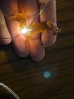 Dachshund Dog String Light 10ft 30 Leds Dachshund Dog Battery Christmas Lights