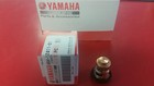 Yamaha 66m-12411-01-00 Thermostat Free Same Day Shipping  Oem Yamaha