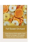 Wen Cleansing Conditioner Fall Sweet Orchard 32 Oz Without Pump   Sealed Nwob