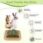 100pcs Timothy Hay Sticks For Rabbits Guinea Pigs Chinchillas Chew Treats  Na   